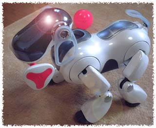 AIBO